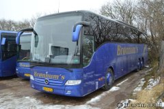 Vikingbus-123