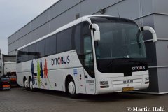 Ditobus-Turist-364