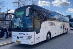 Ditobus-Turist-399