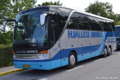 hjallese_minibus2