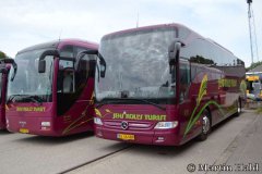 Vikingbus-433