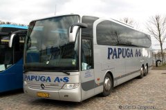 Papuga-27