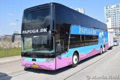 Papuga-61