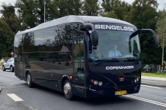 Sengeloese-Minibusser2