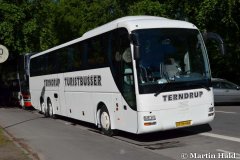 terndrup_turistbusser1
