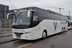 Vikingbus-411