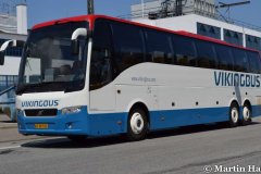 Vikingbus-20083