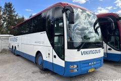 Vikingbus-121